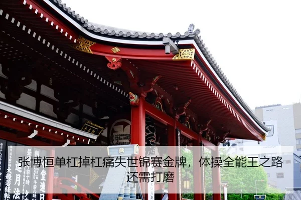 张博恒单杠掉杠痛失世锦赛金牌，体操全能王之路还需打磨