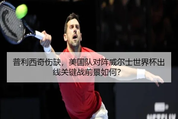 普利西奇伤缺，美国队对阵威尔士世界杯出线关键战前景如何？ - Leyu